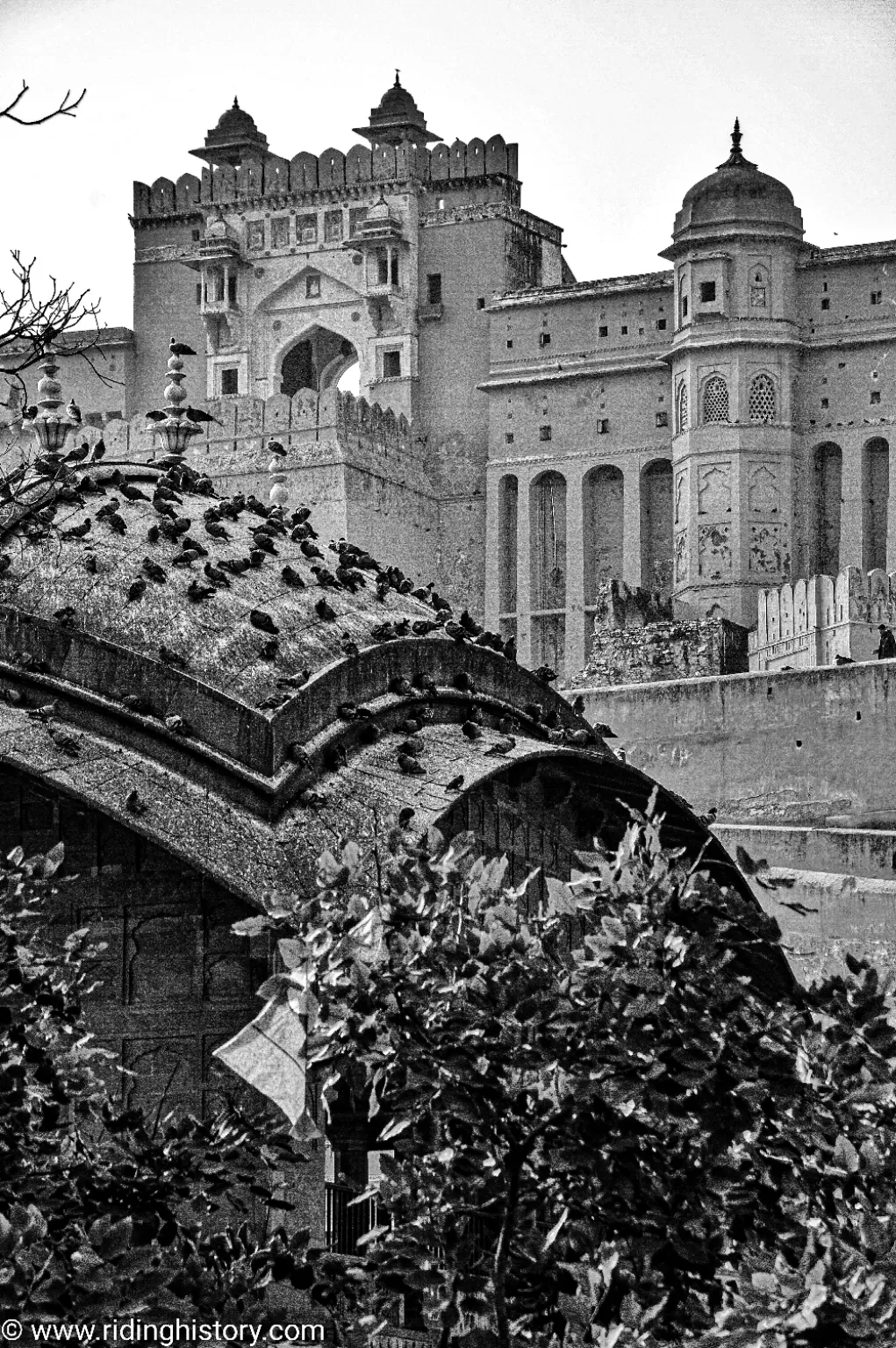 Photo of Jaipur By Yogesh Chandra Joshi