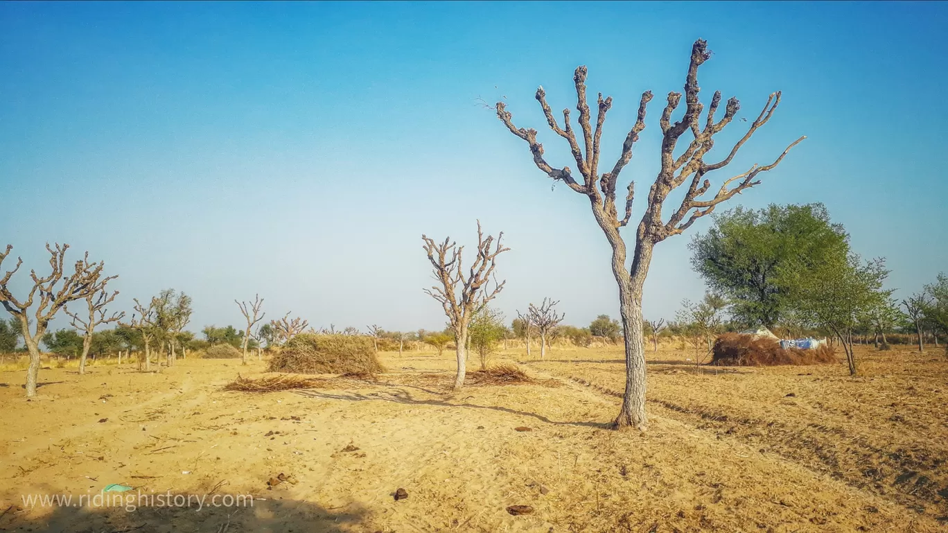 Photo of Rajasthan By Yogesh Chandra Joshi