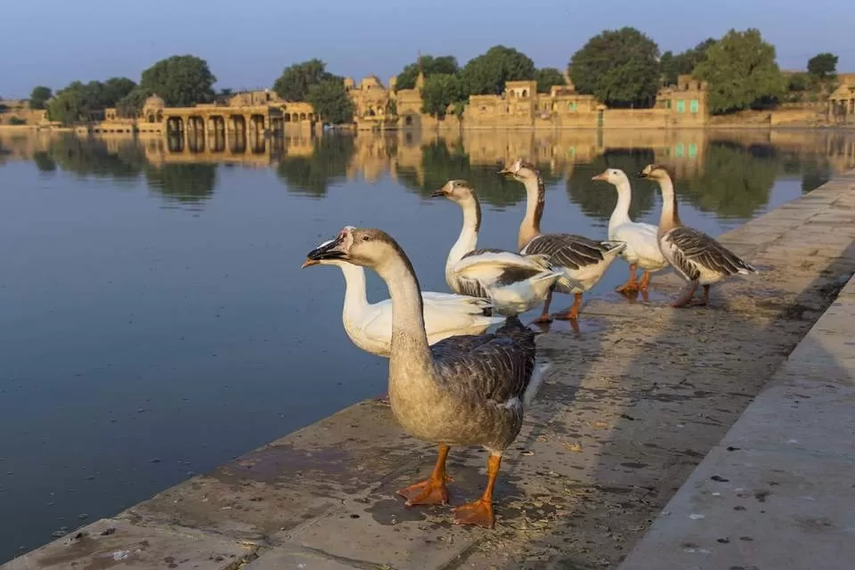 Photo of Jaisalmer By sue