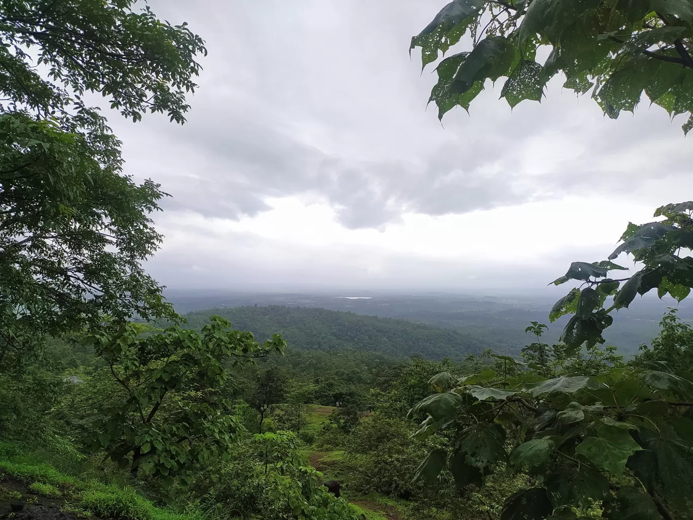 Photo of Reverse Waterfall ( Hill Station Naneghat) By Janhavi Dalal