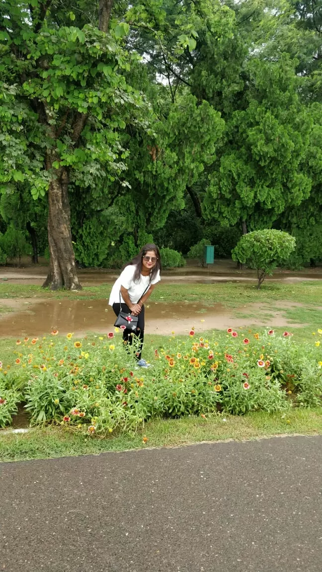 Photo of Chandigarh By Shashi chauhan