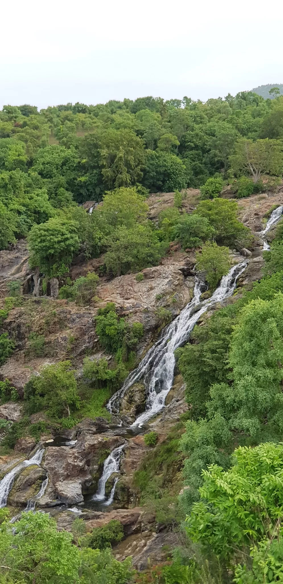 Photo of Barachukki Waterfalls By Nidhi