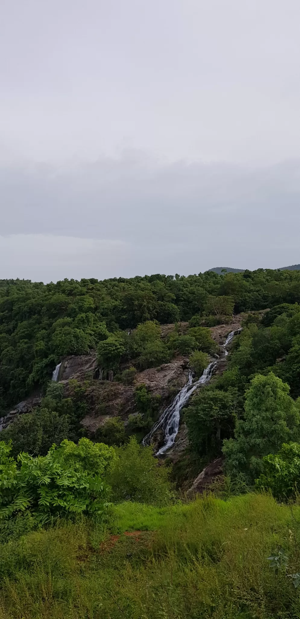 Photo of Barachukki Waterfalls By Nidhi