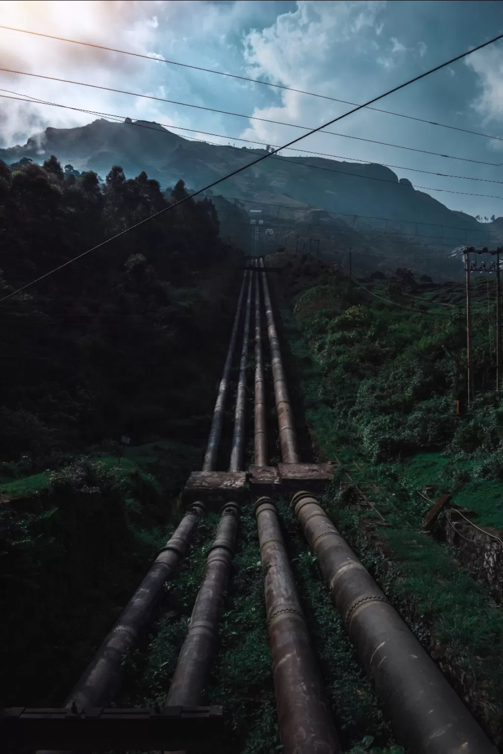 Photo of Munnar By Satyanand SS