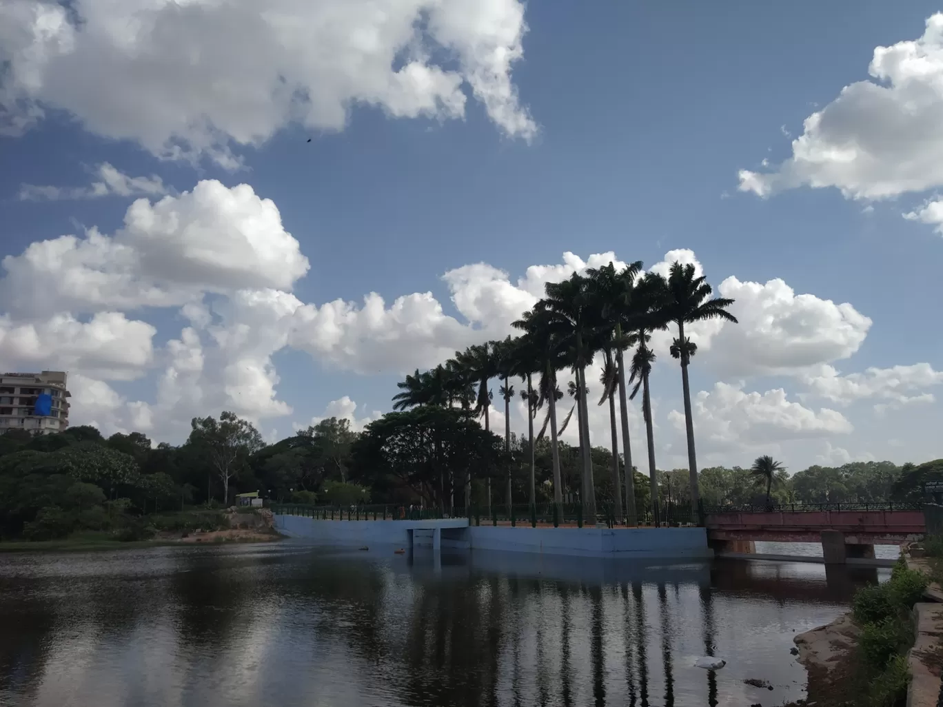 Photo of Lalbagh Botanical Garden By Bhaskar Kumar