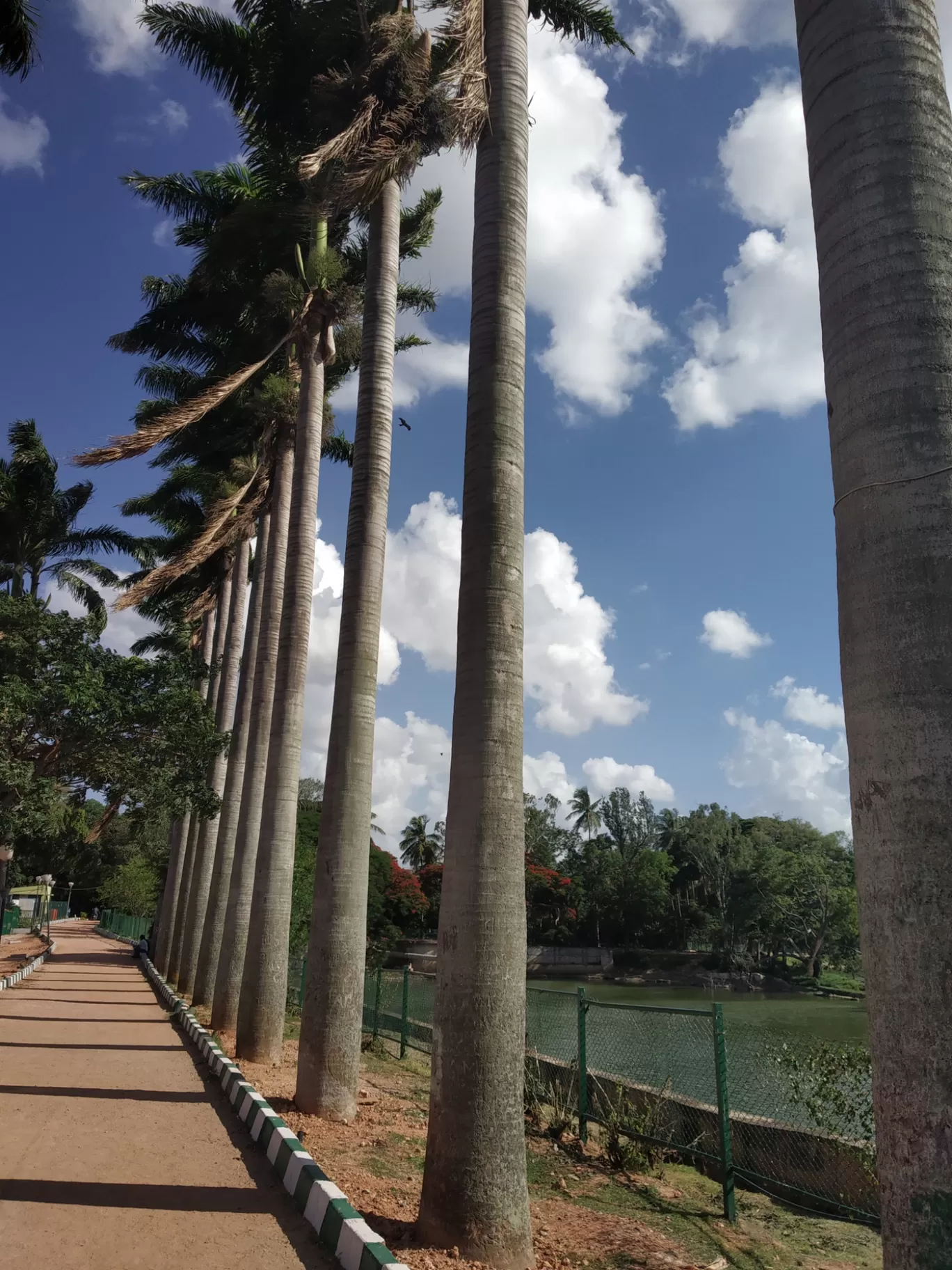 Photo of Lalbagh Botanical Garden By Bhaskar Kumar