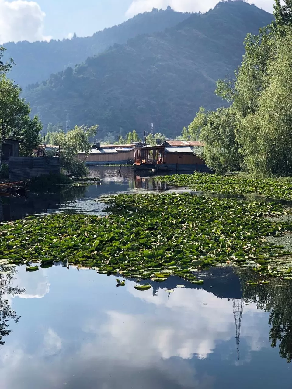 Photo of Leh By Paramvir Singh Marwaha