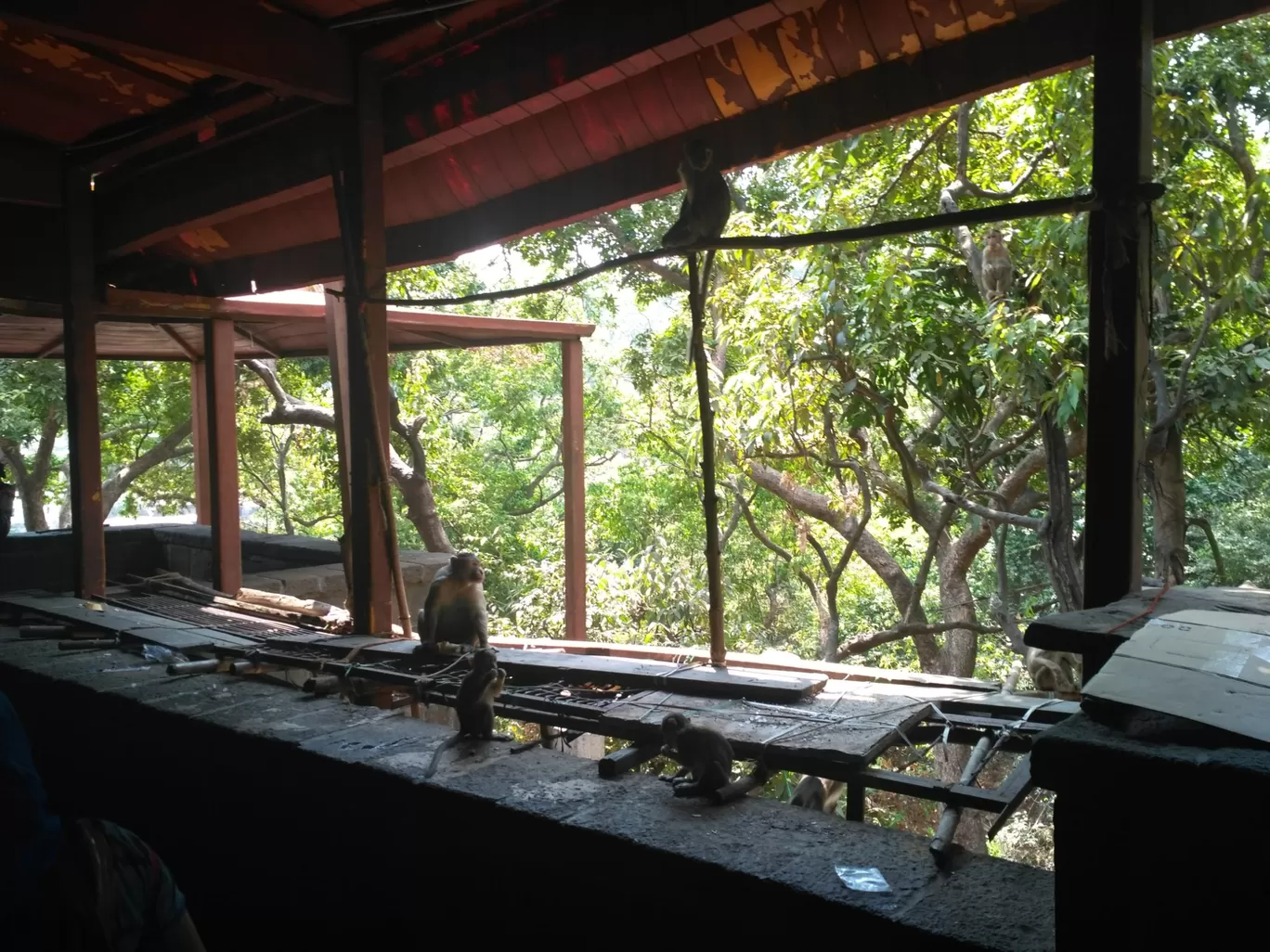 Photo of Bhimashankar Jyotirling Mandir Of Lord Shiva By Vaishnavi