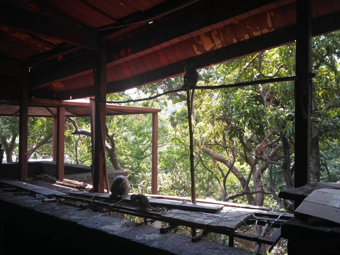 Photo of Bhimashankar Jyotirling Mandir Of Lord Shiva By Vaishnavi