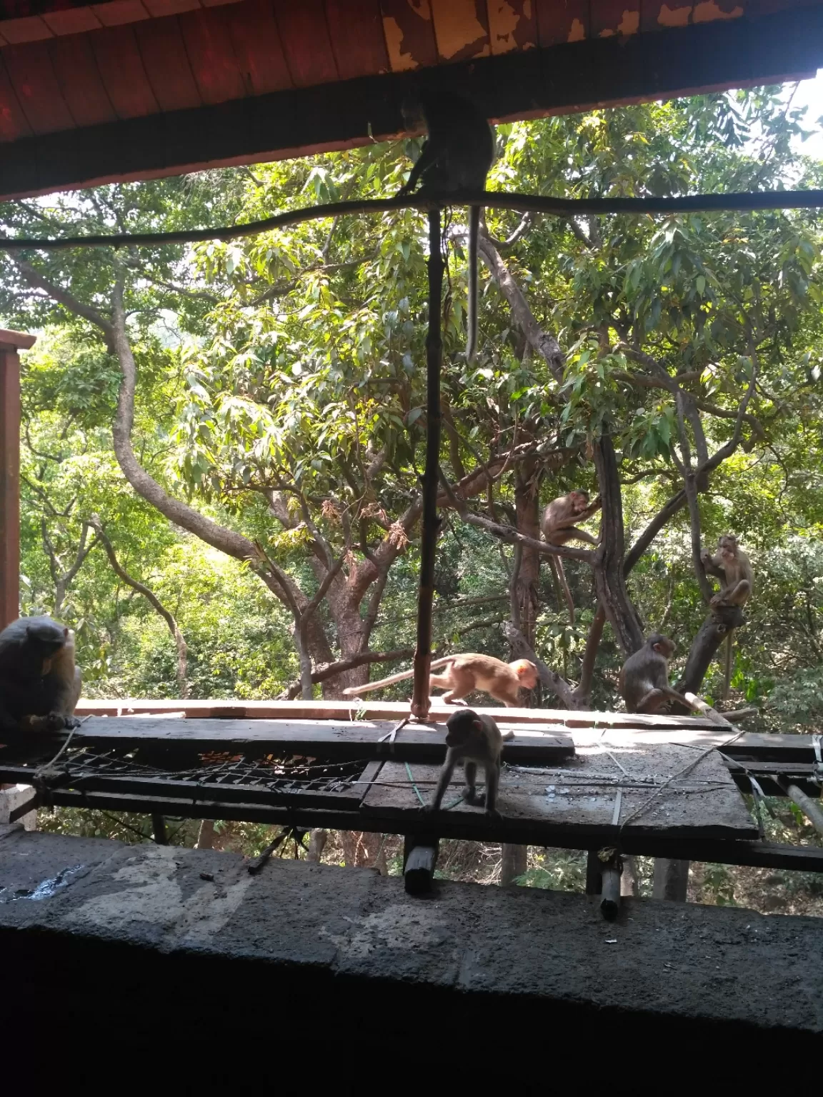 Photo of Bhimashankar Jyotirling Mandir Of Lord Shiva By Vaishnavi