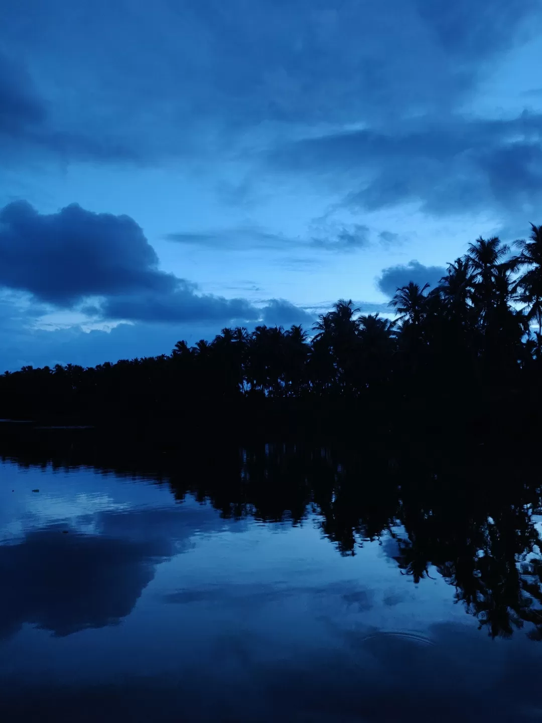 Photo of Kadalundi River By Hadi kp