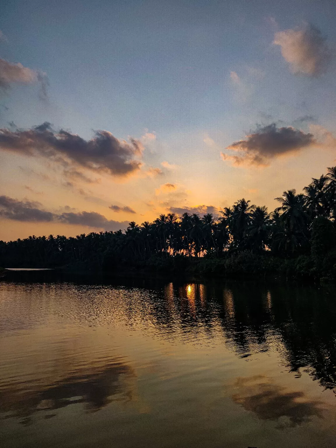 Photo of Kadalundi River By Hadi kp
