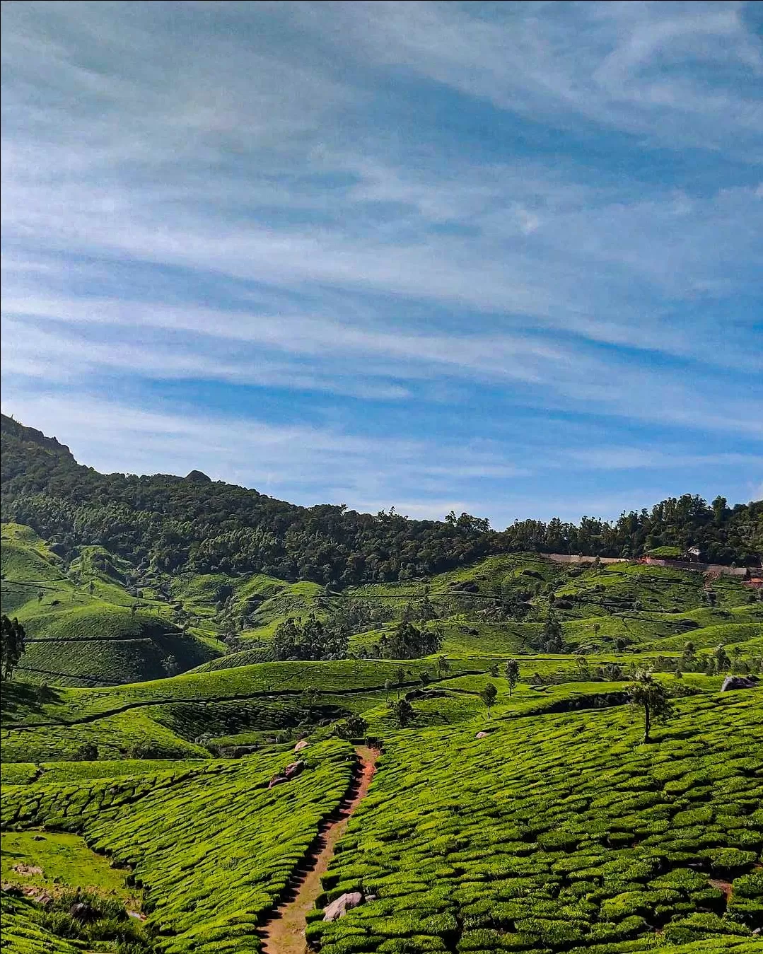 Photo of Munnar By Hadi kp