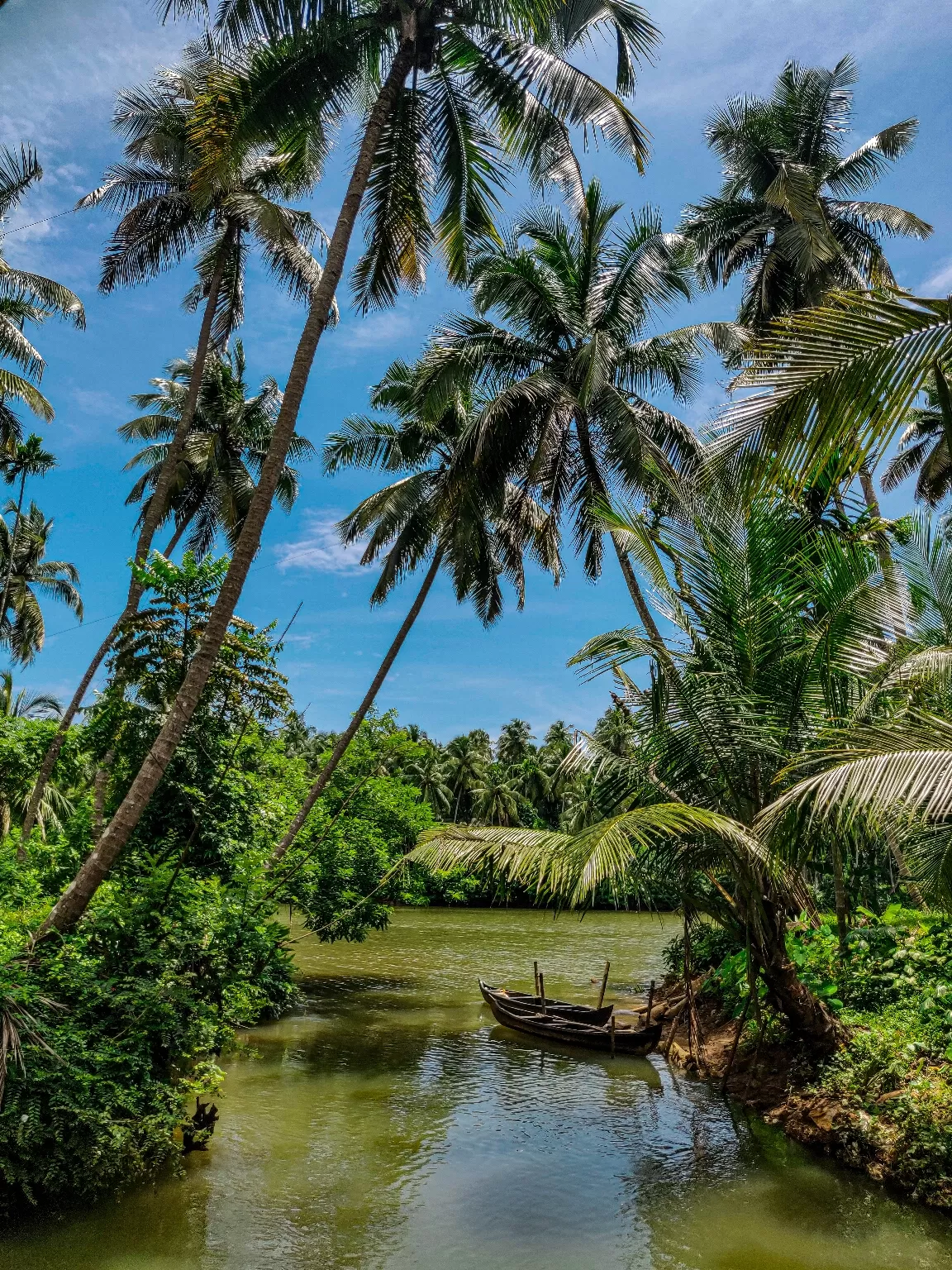 Photo of Kadalundi River By Hadi kp