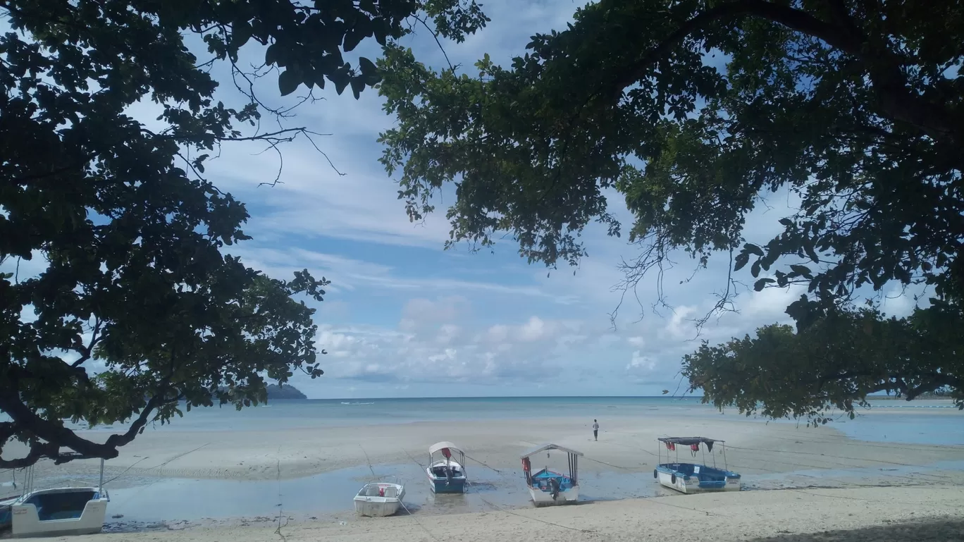 Photo of Andaman Islands By Nandita Hansaliya 