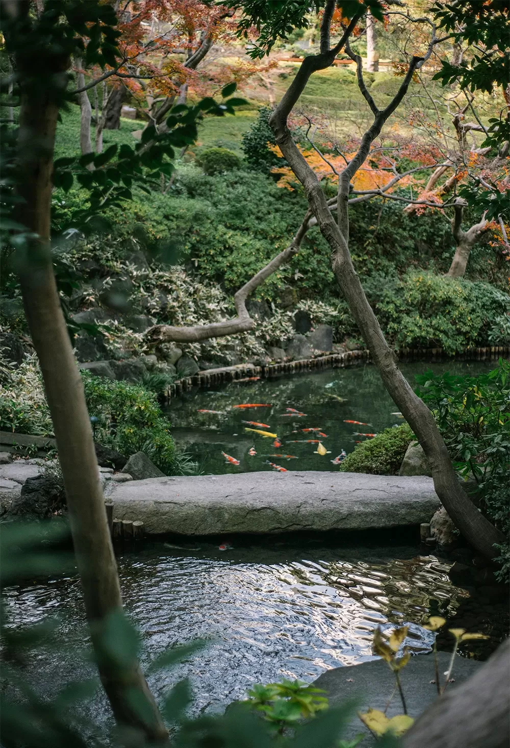 Photo of Tokyo By Mukul Bhatia