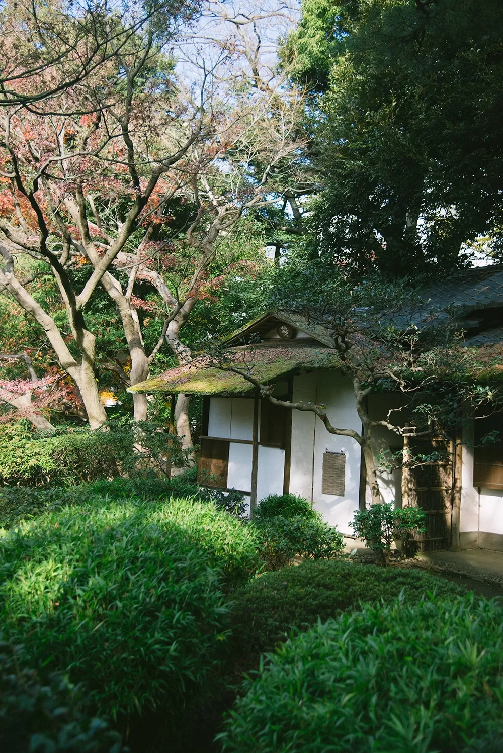 Photo of Tokyo By Mukul Bhatia