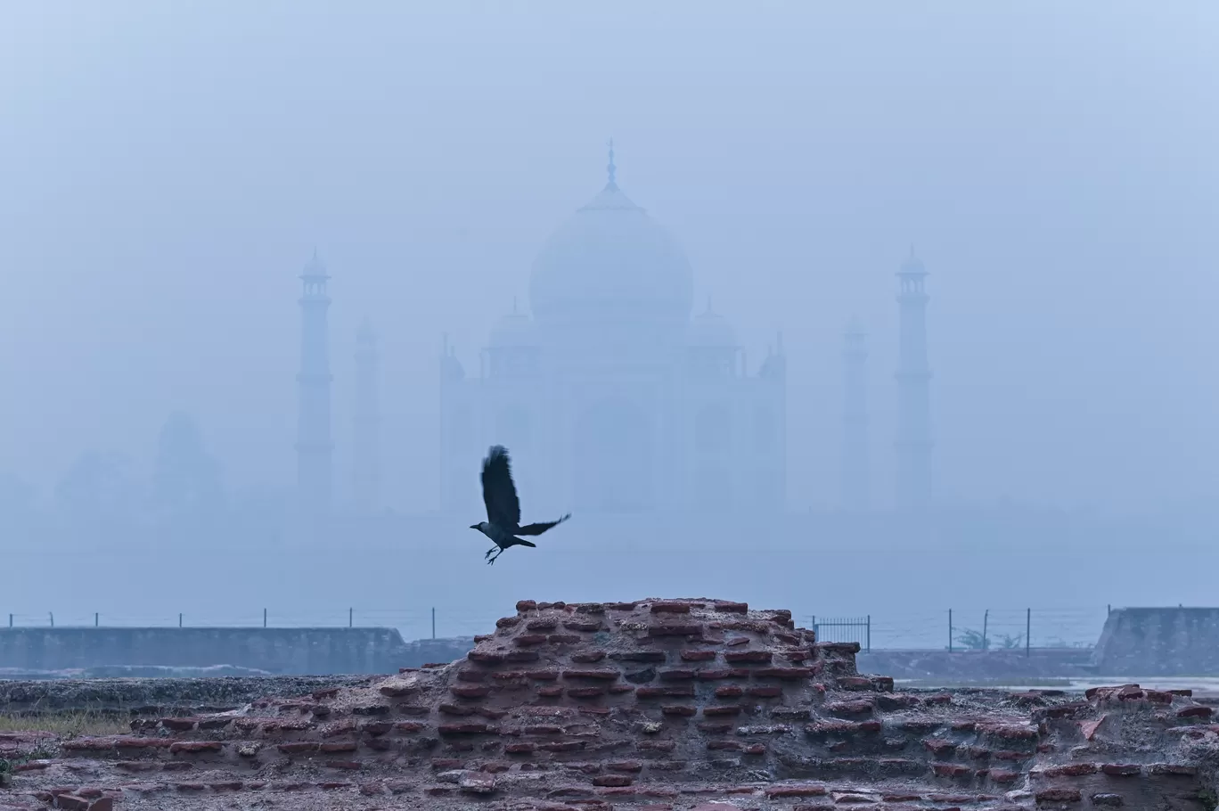 Photo of Agra By A Mango Traveler