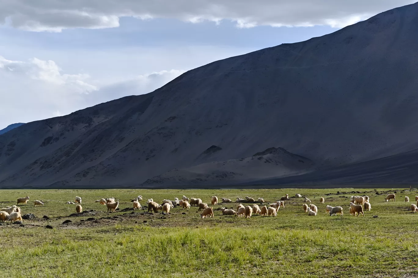 Photo of Hanle By A Mango Traveler