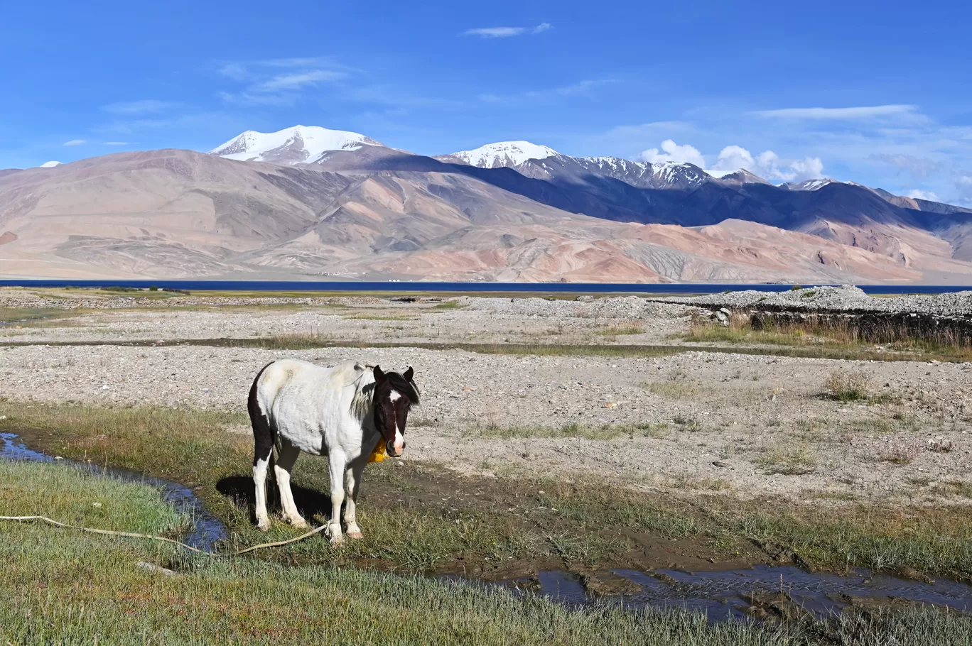 Photo of Tso Moriri By A Mango Traveler