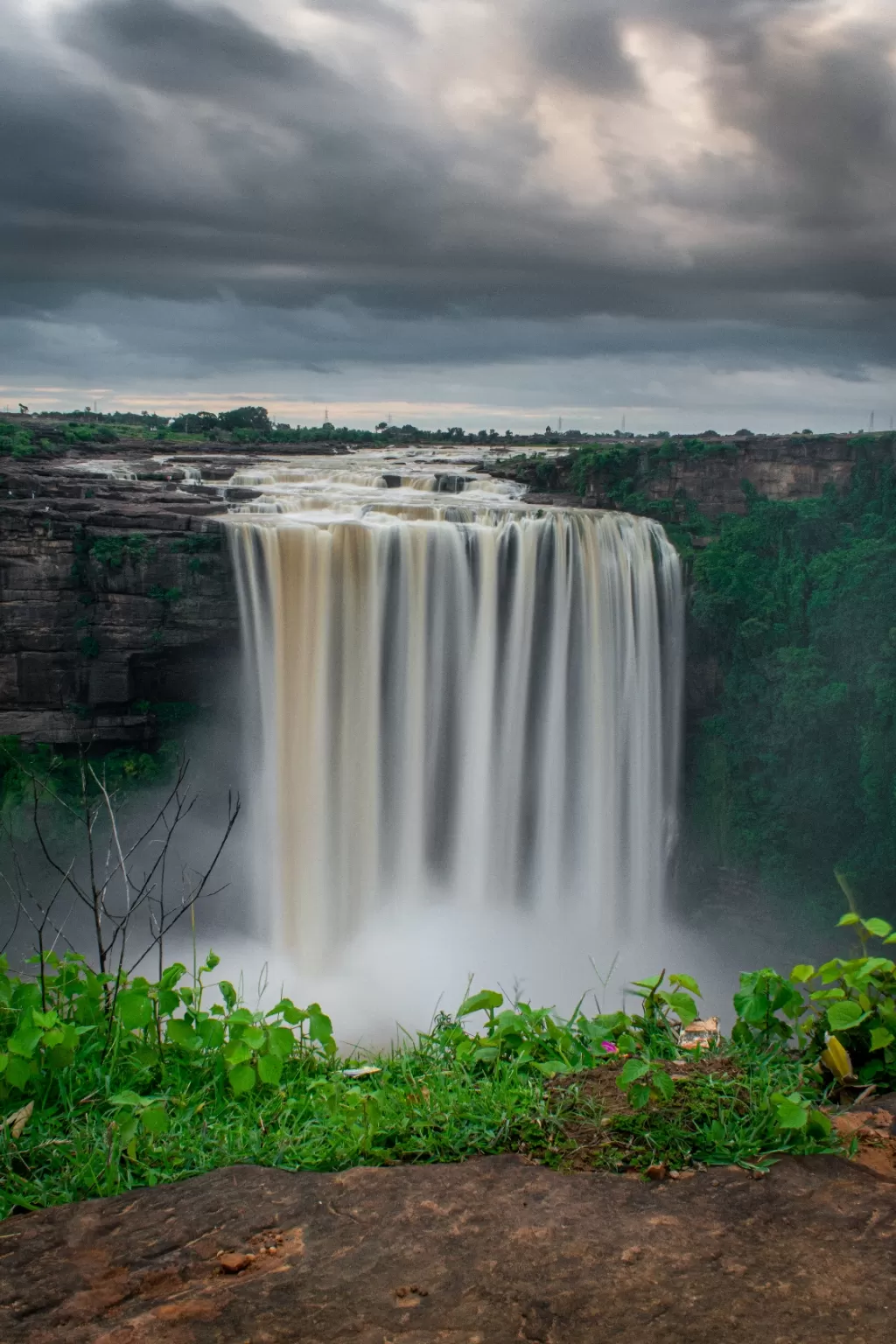 Photo of Rewa By vishal kapoor