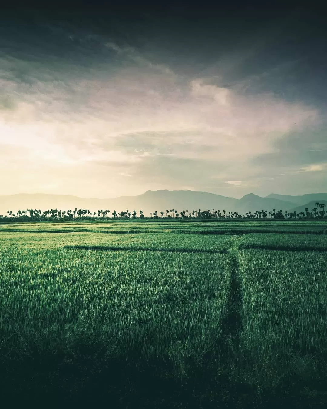 Photo of Gujarat By Ram Naresh