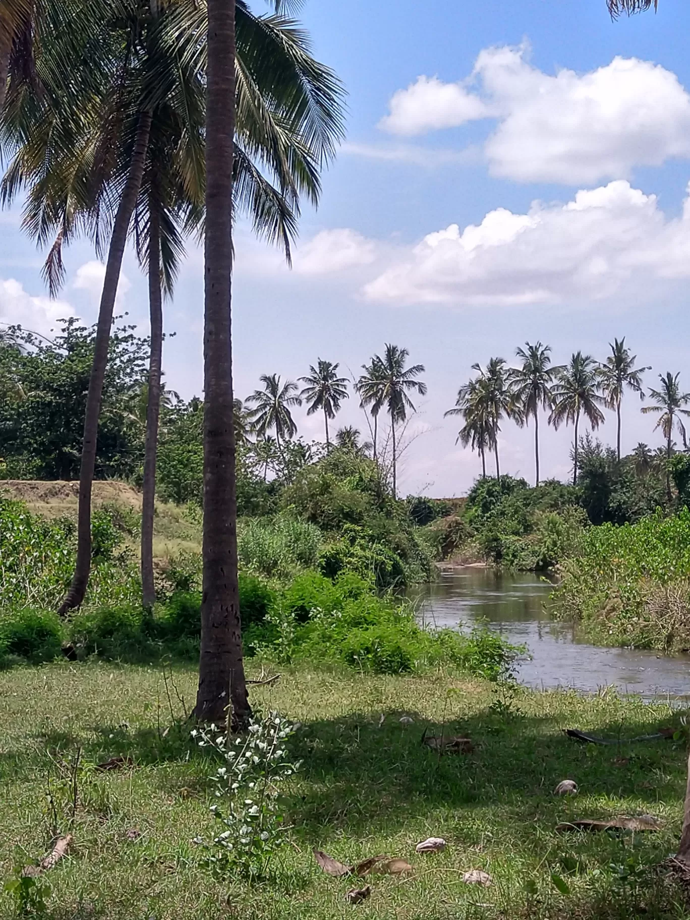 Photo of Cumbum By Sunlight Studio