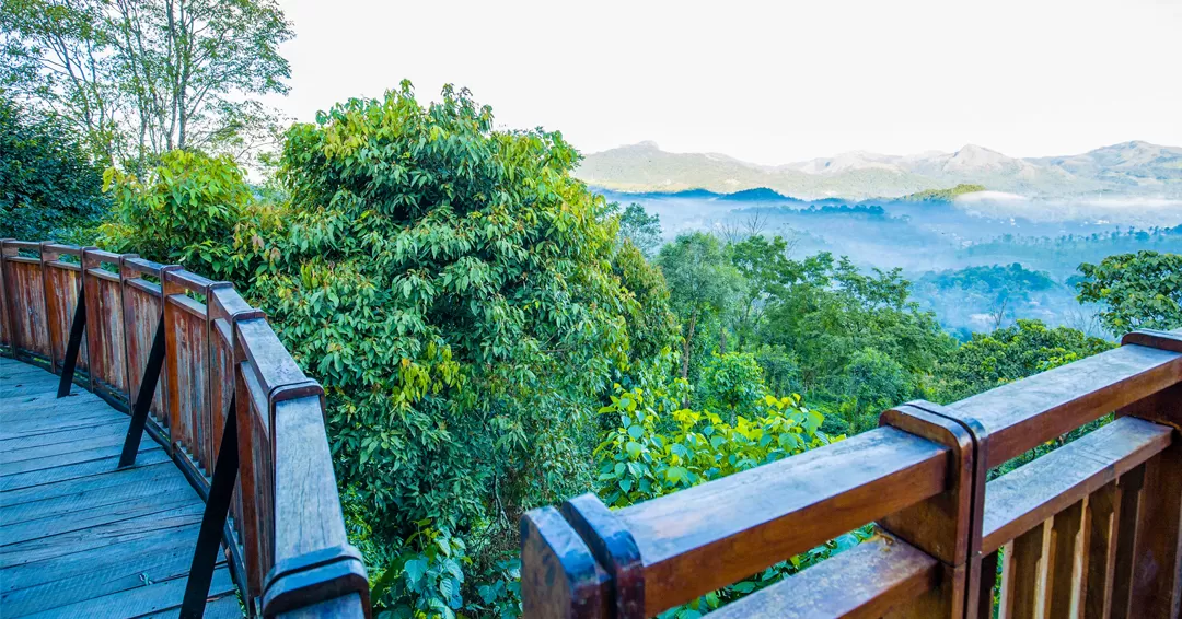 Photo of Vythiri Mist Resort By Vythiri Mist