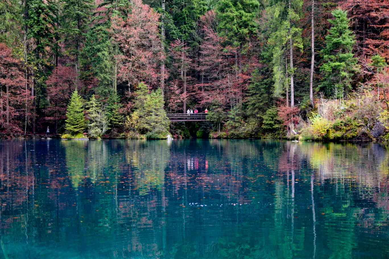Photo of Blausee By Aswathy & Sarath
