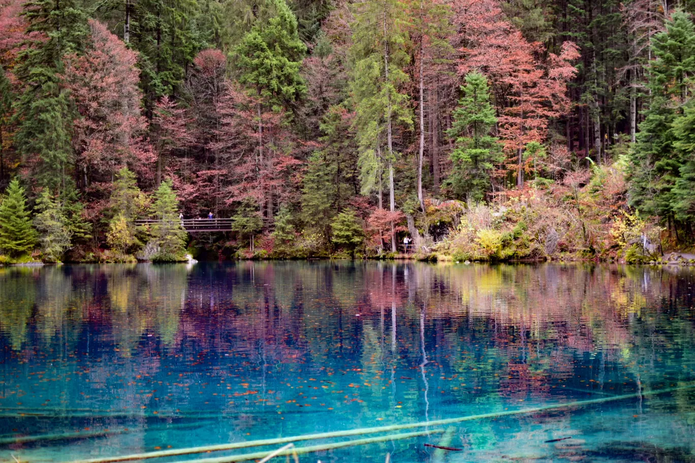 Photo of Blausee By Aswathy & Sarath