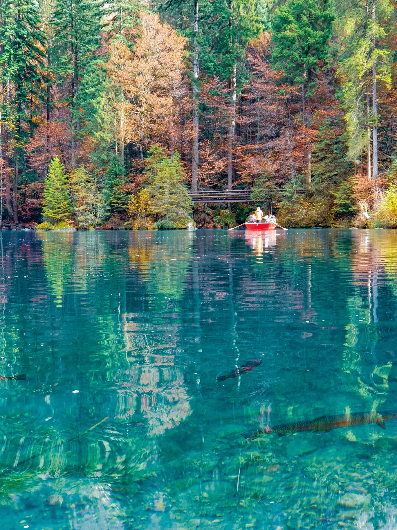 Photo of Blausee By Aswathy & Sarath