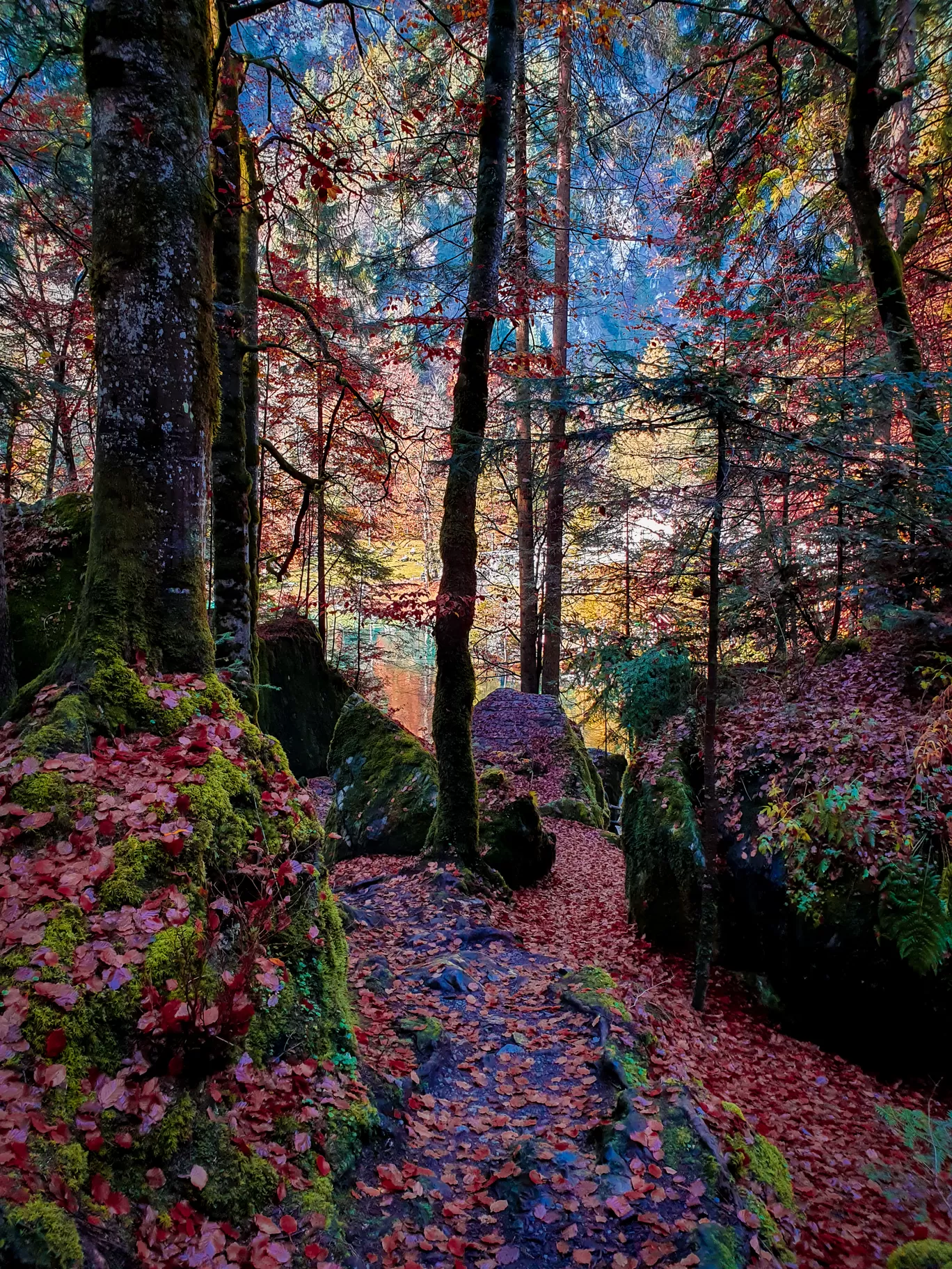 Photo of Blausee By Aswathy & Sarath