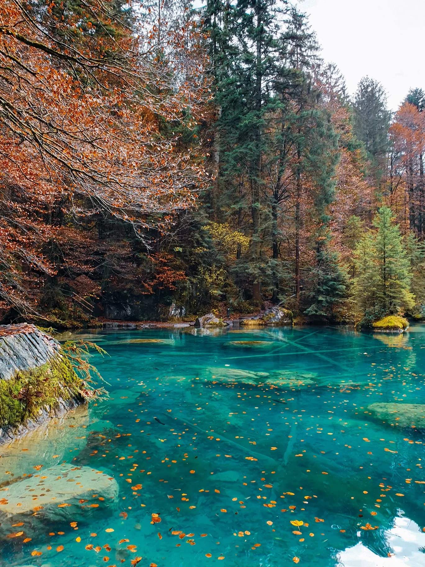 Photo of Blausee By Aswathy & Sarath