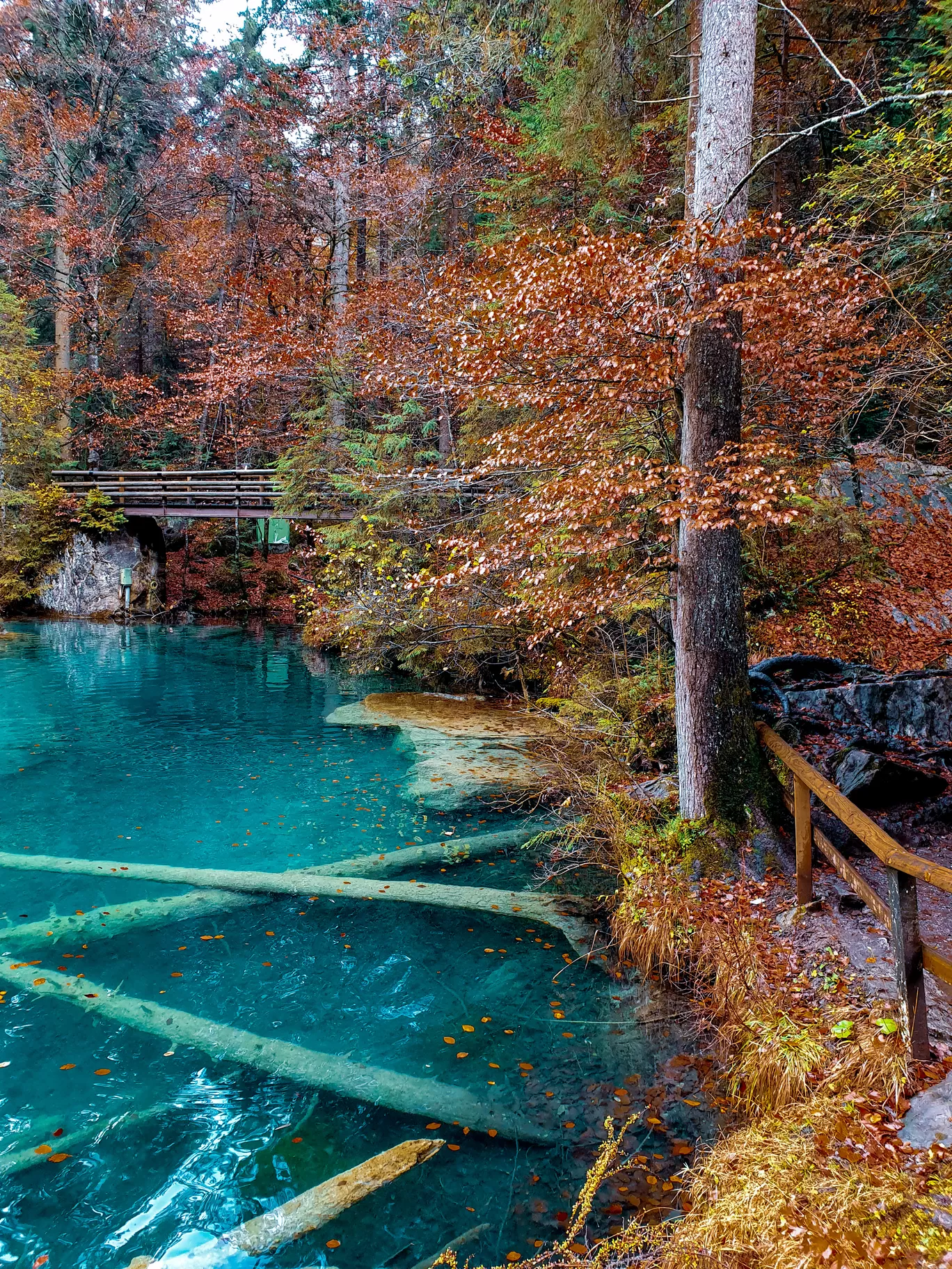 Photo of Blausee By Aswathy & Sarath