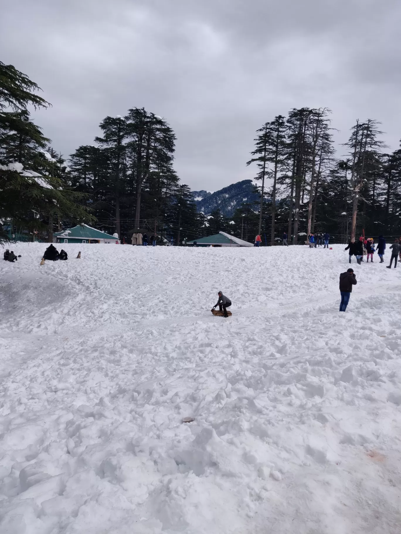 Photo of Patni Top Park By Rab Da Banda