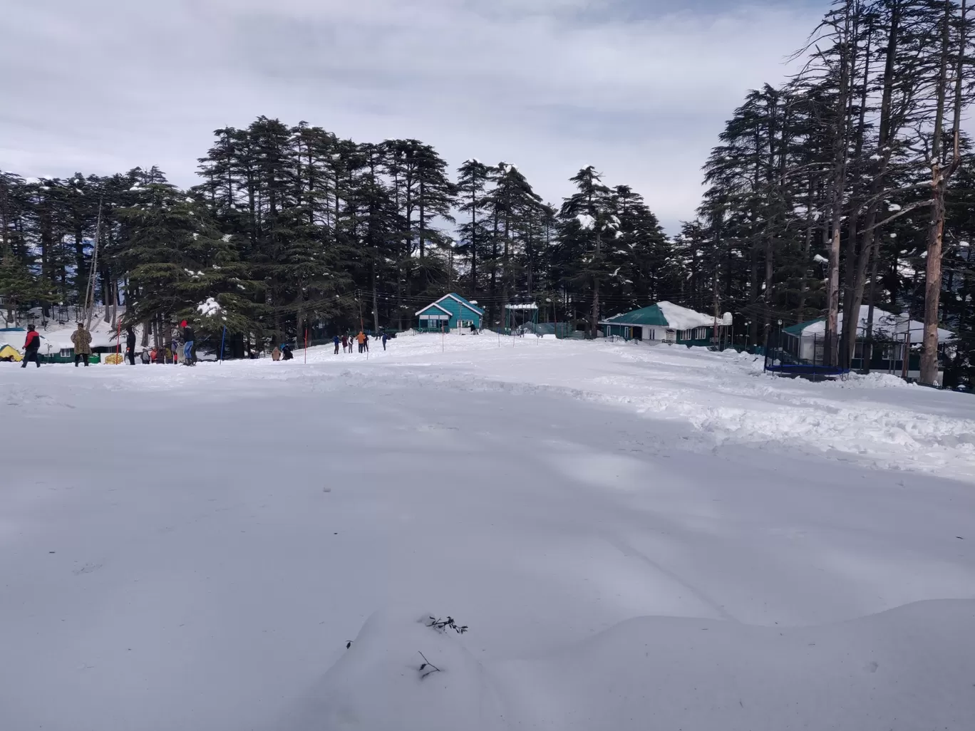 Photo of Patni Top Park By Rab Da Banda
