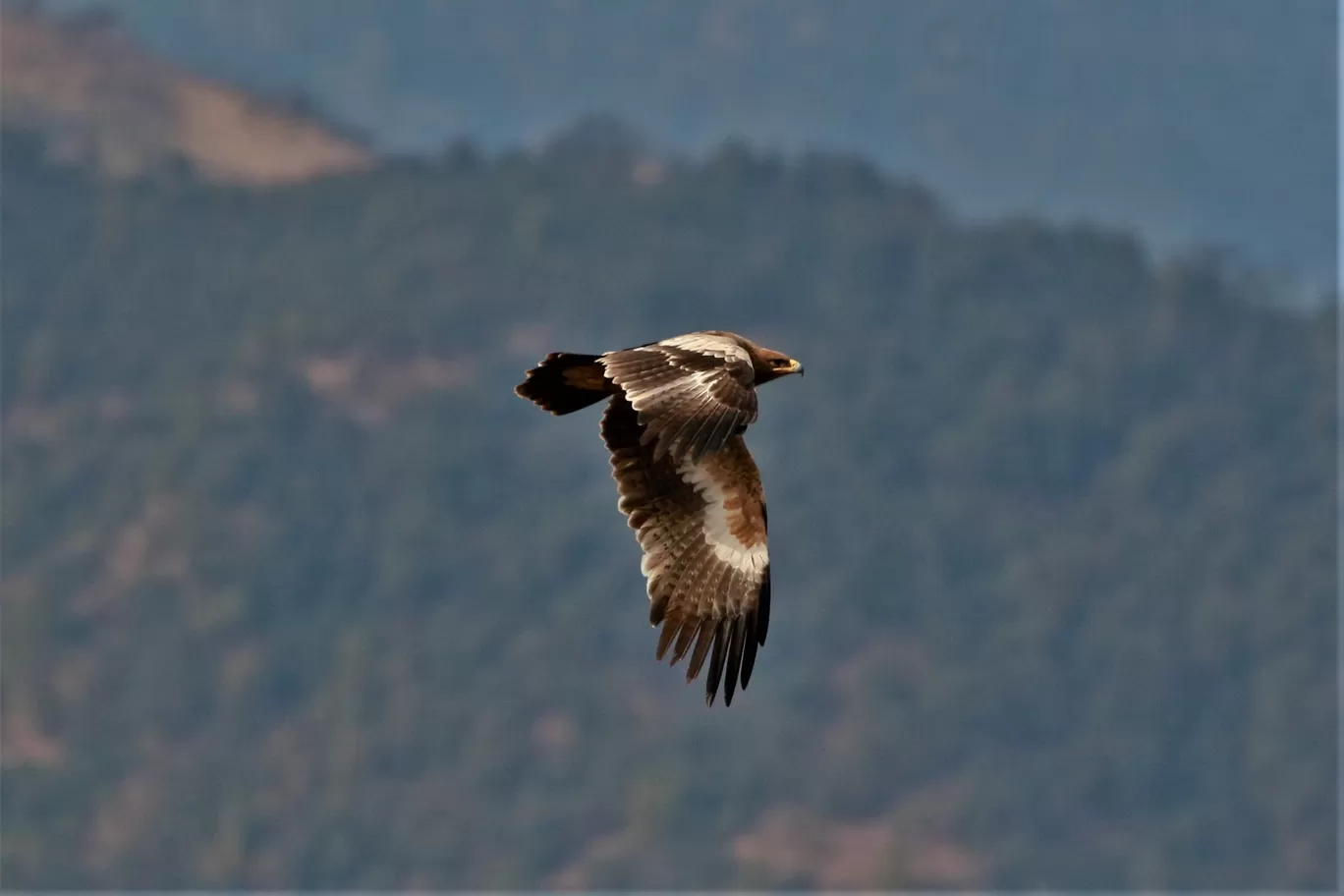 Photo of Mukteshwar By Ritesh Rawat