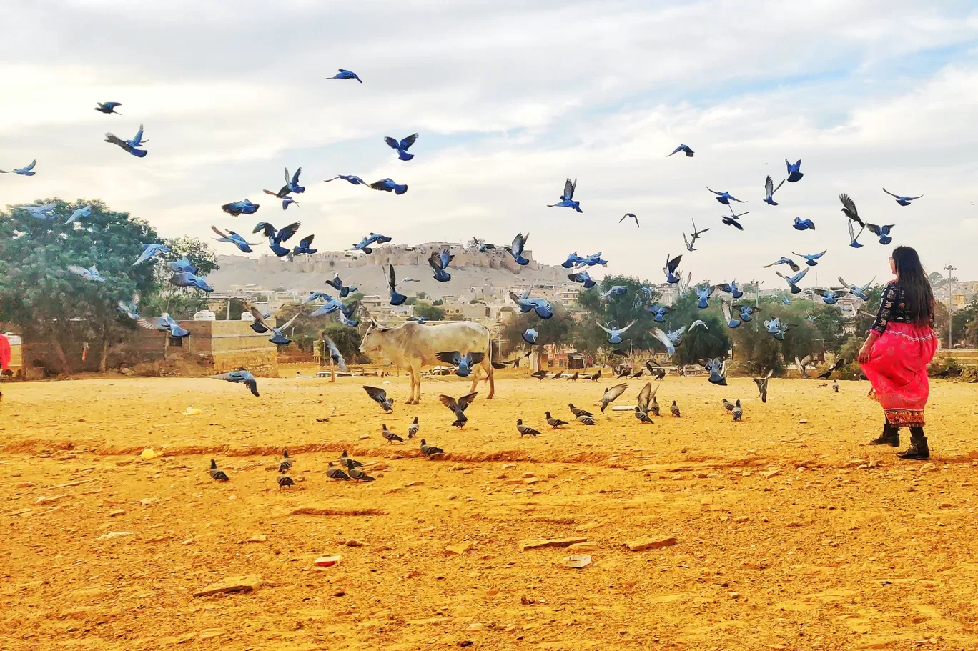 Photo of Gadisar lake Jaisalmer By priya sharma