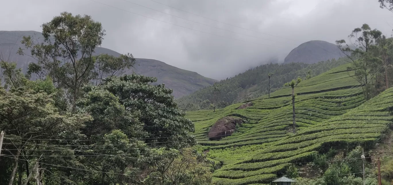 Photo of Munnar By Karthik S. Raja