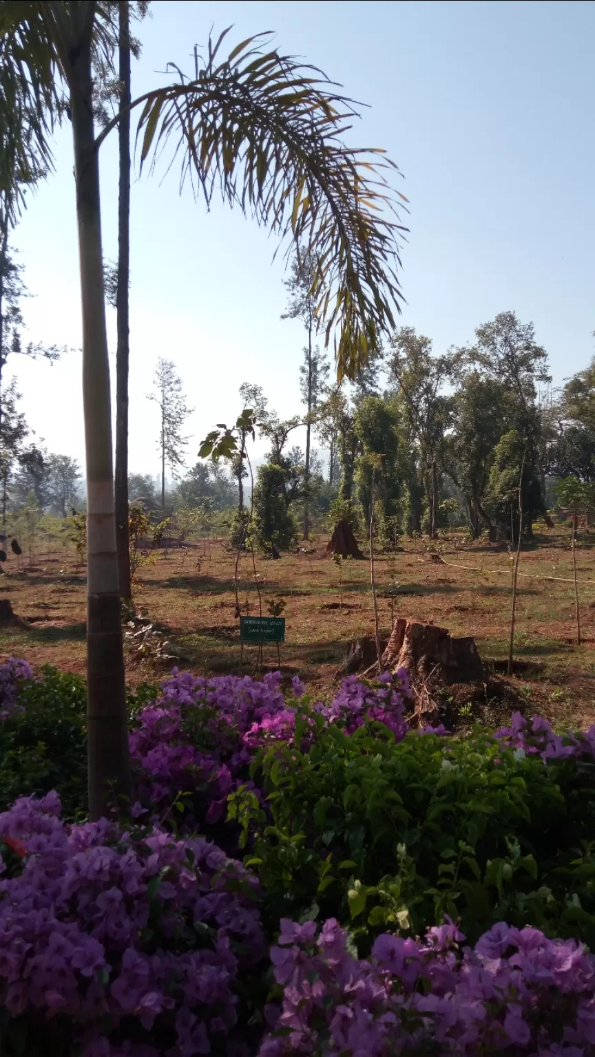 Photo of Araku Valley By Kislay Singh