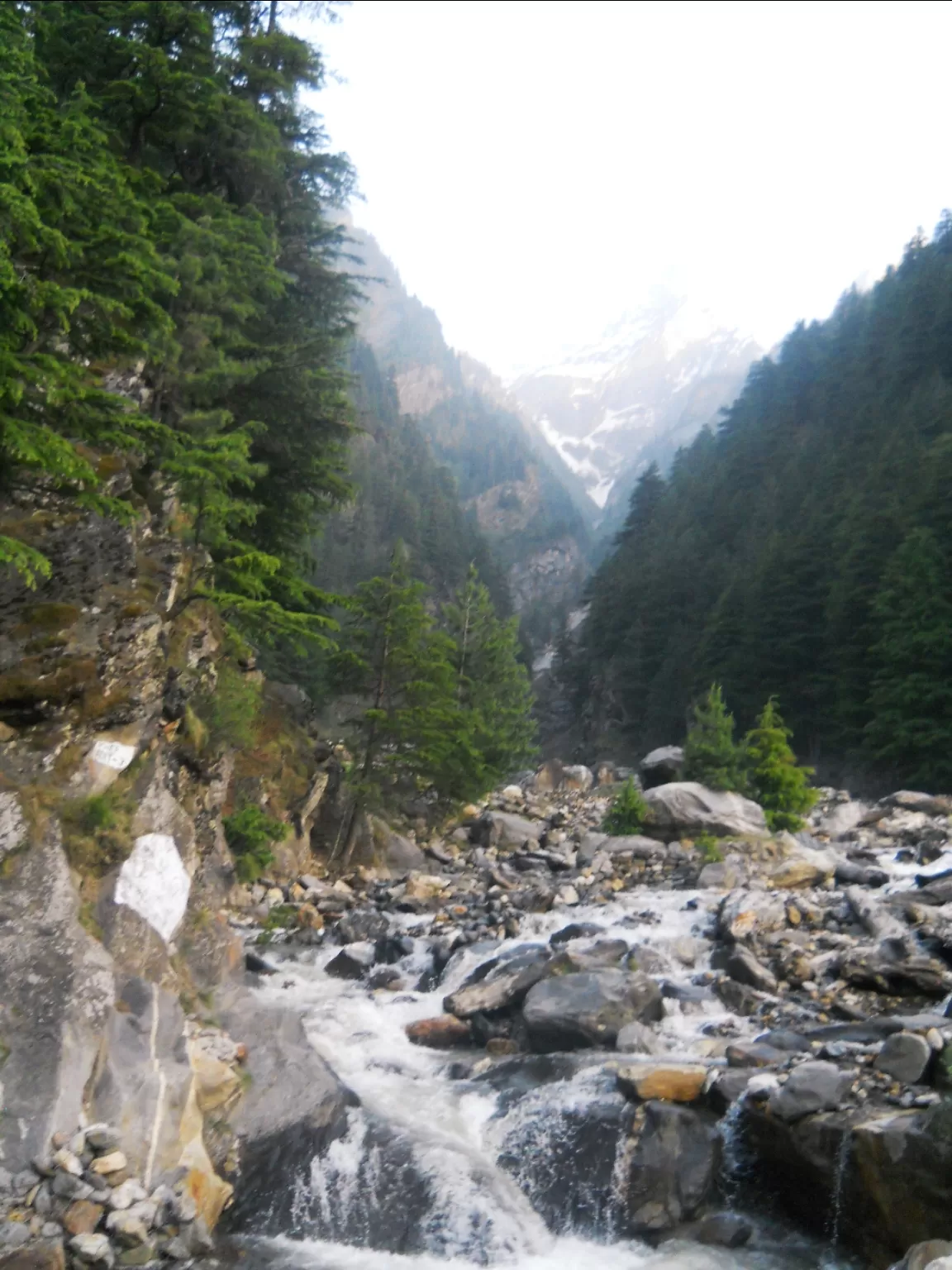 Photo of Harshil Valley By Kislay Singh