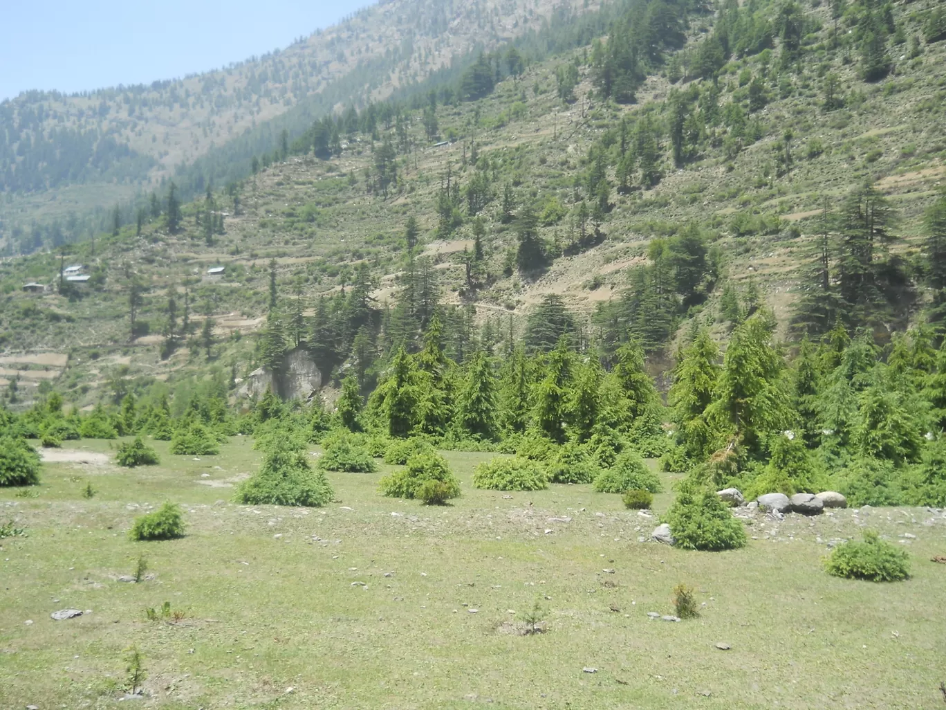 Photo of Harshil Valley By Kislay Singh