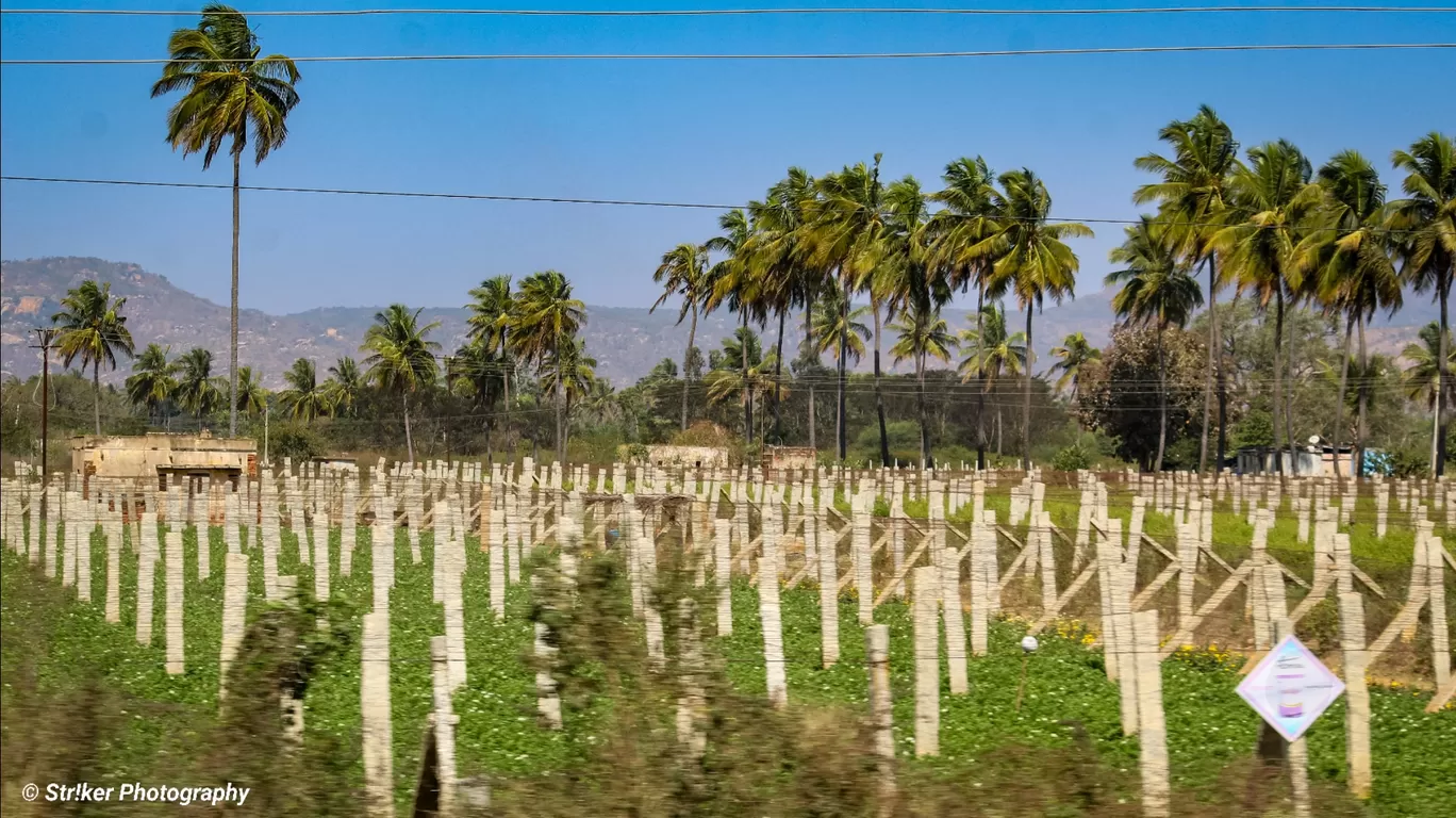 Photo of Chikkaballapur By Strikerphotography 