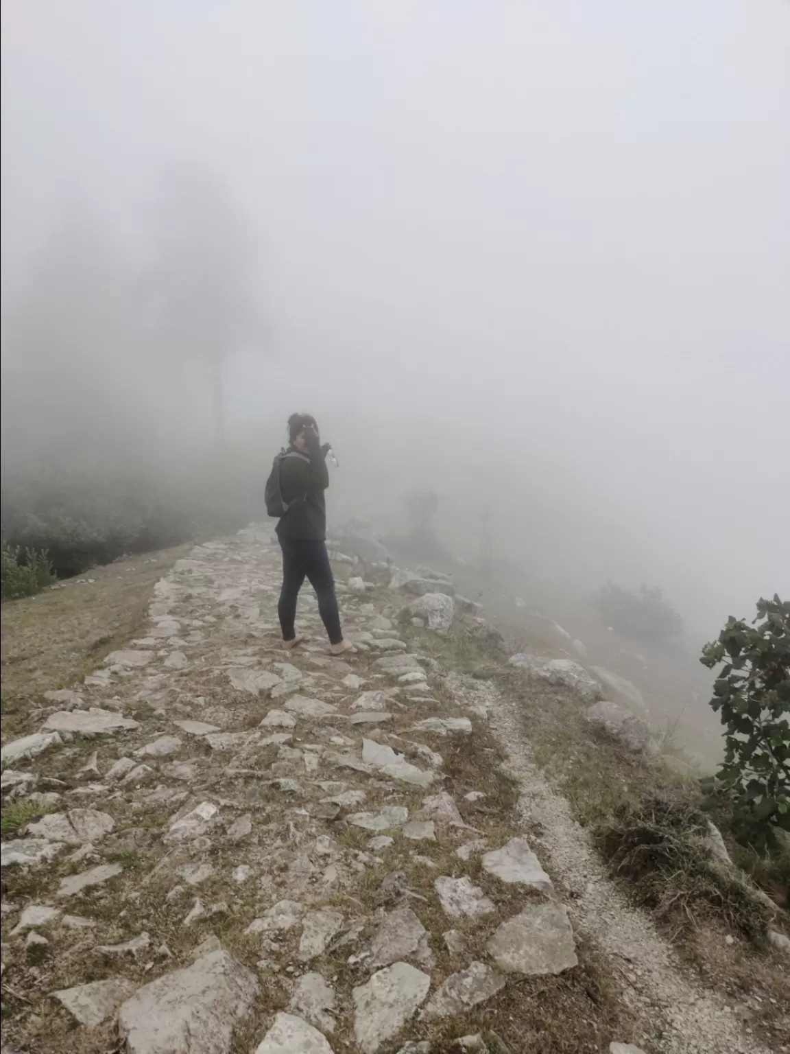 Photo of Tehri By Aditi mamgain