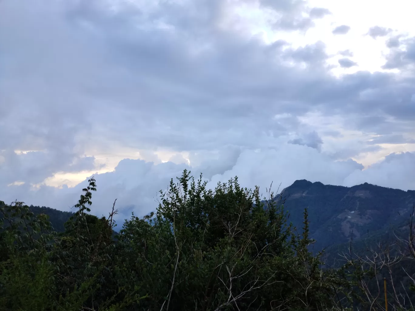 Photo of Tehri By Aditi mamgain