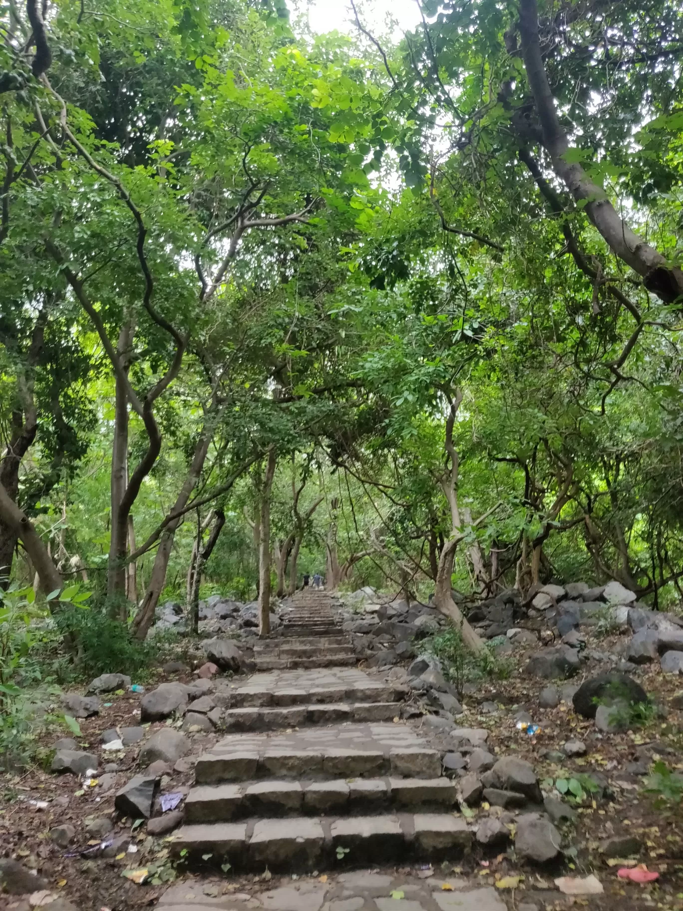 Photo of Junagadh By Akshay 