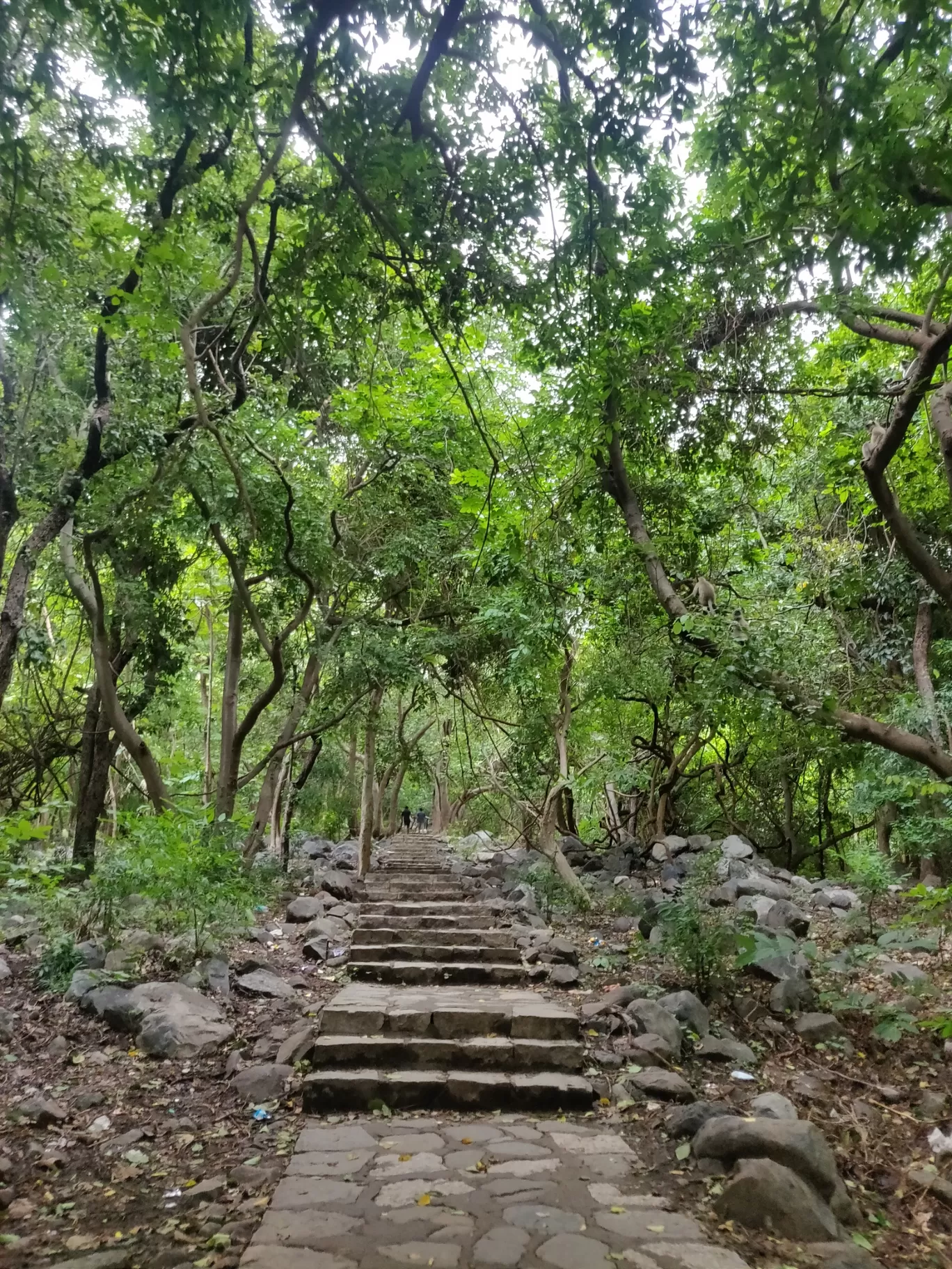 Photo of Junagadh By Akshay 