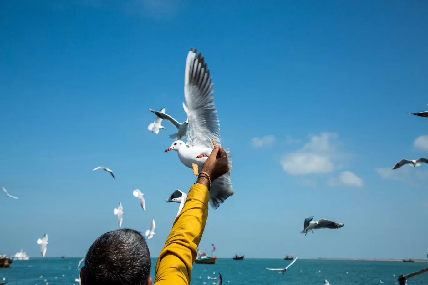 Photo of Bet Dwarka By Akshay 