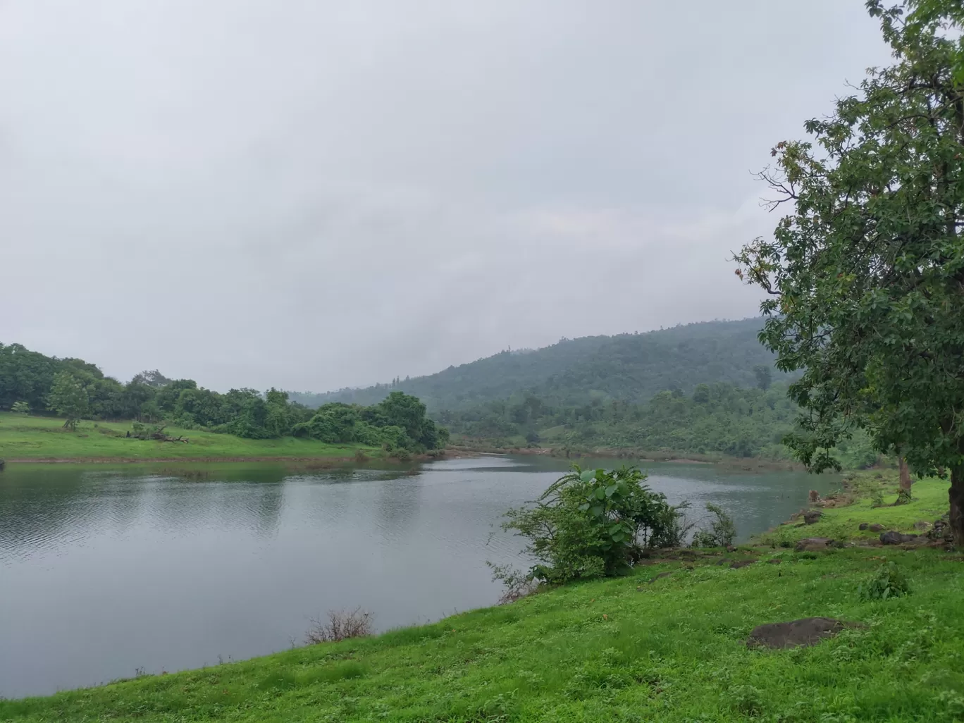 Photo of Wilson Hills By Ashutosh Sheth