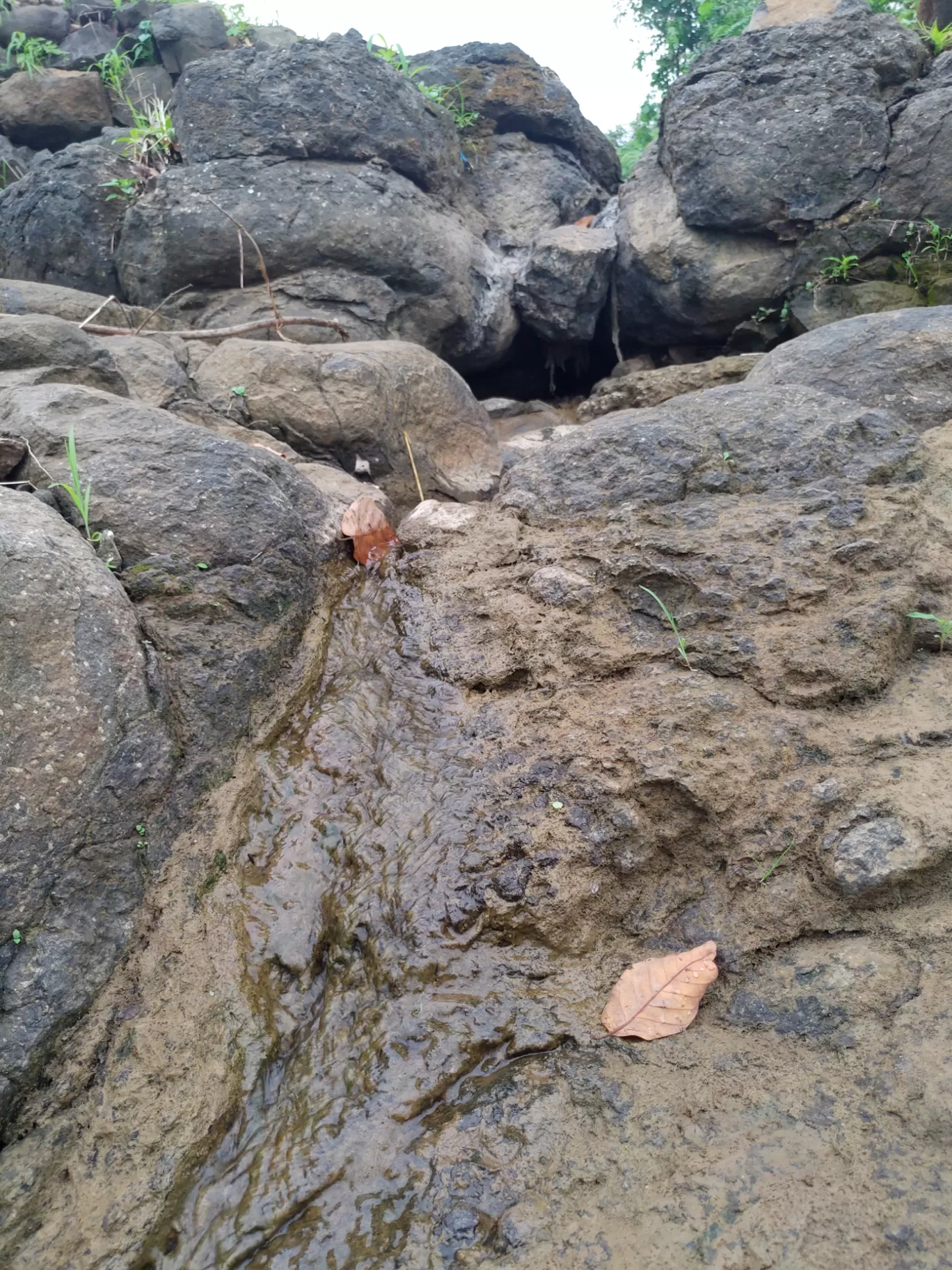 Photo of Wilson Hills By Ashutosh Sheth
